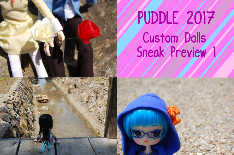 PUDDLE 2017 Preview 1